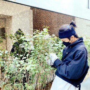 프로필 사진