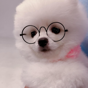 프로필 사진